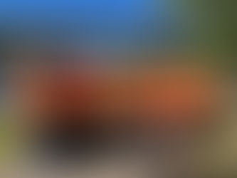 Adaptive & Para Team Competed in Philadelphia's Bayada Regatta