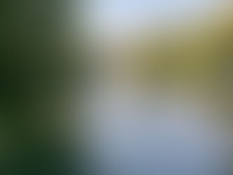 TRRA Safety Bulletin - June 2021