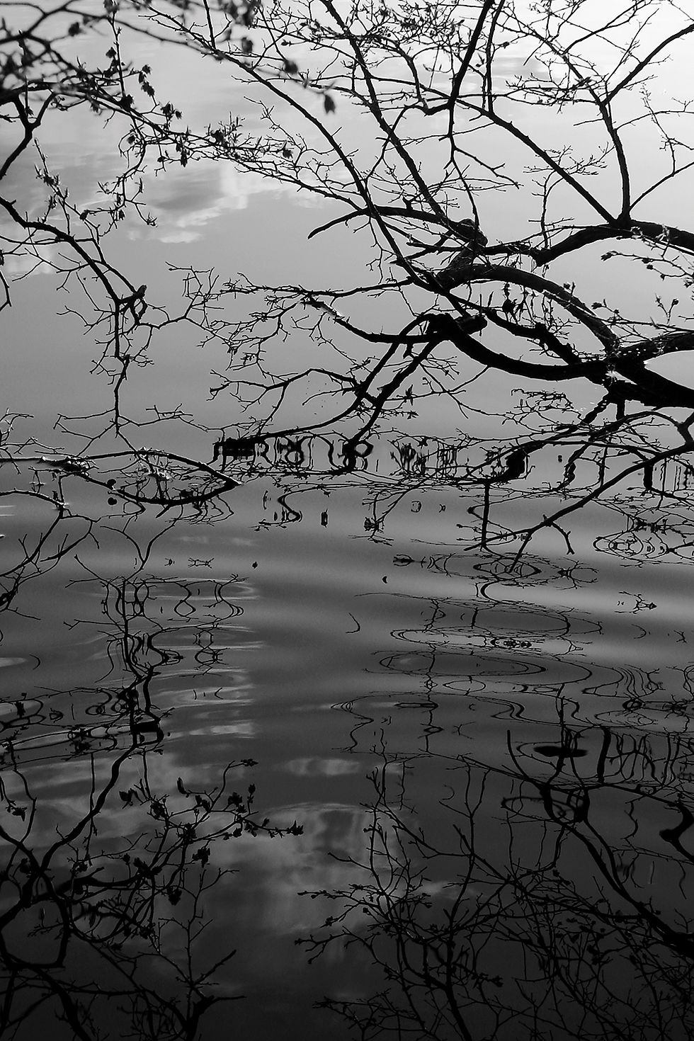 Lake Mansfield No. 2