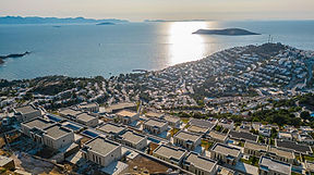 فوكا بانوراما