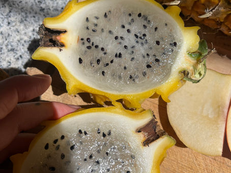 La Pitahaya Churuja: Hylocereus sp