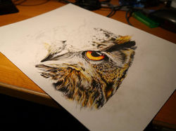 12243388_1043429395708773_6148870982563848230_n