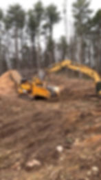 Stump Grinding