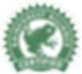 Group 2096.png