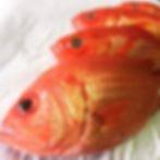 (Under White fish Category)Alfonsino_Kinmedai.JPG