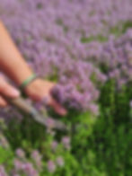 first_photo.jpg