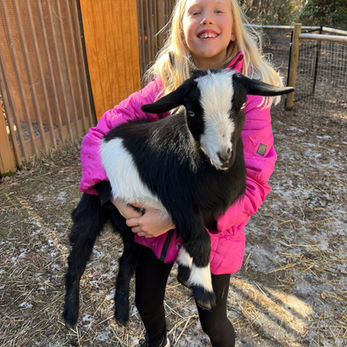 a girl with a goat