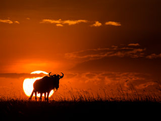 Sunrise