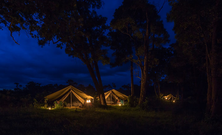 www.davesimpsonsafaris.com, camping Mara, tent