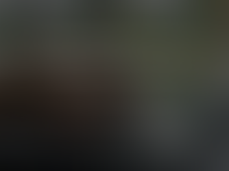 Edmonton SEO Services Blog Cover