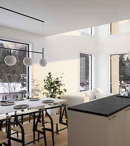 Asura Palotie Erillistalo OH.jpg