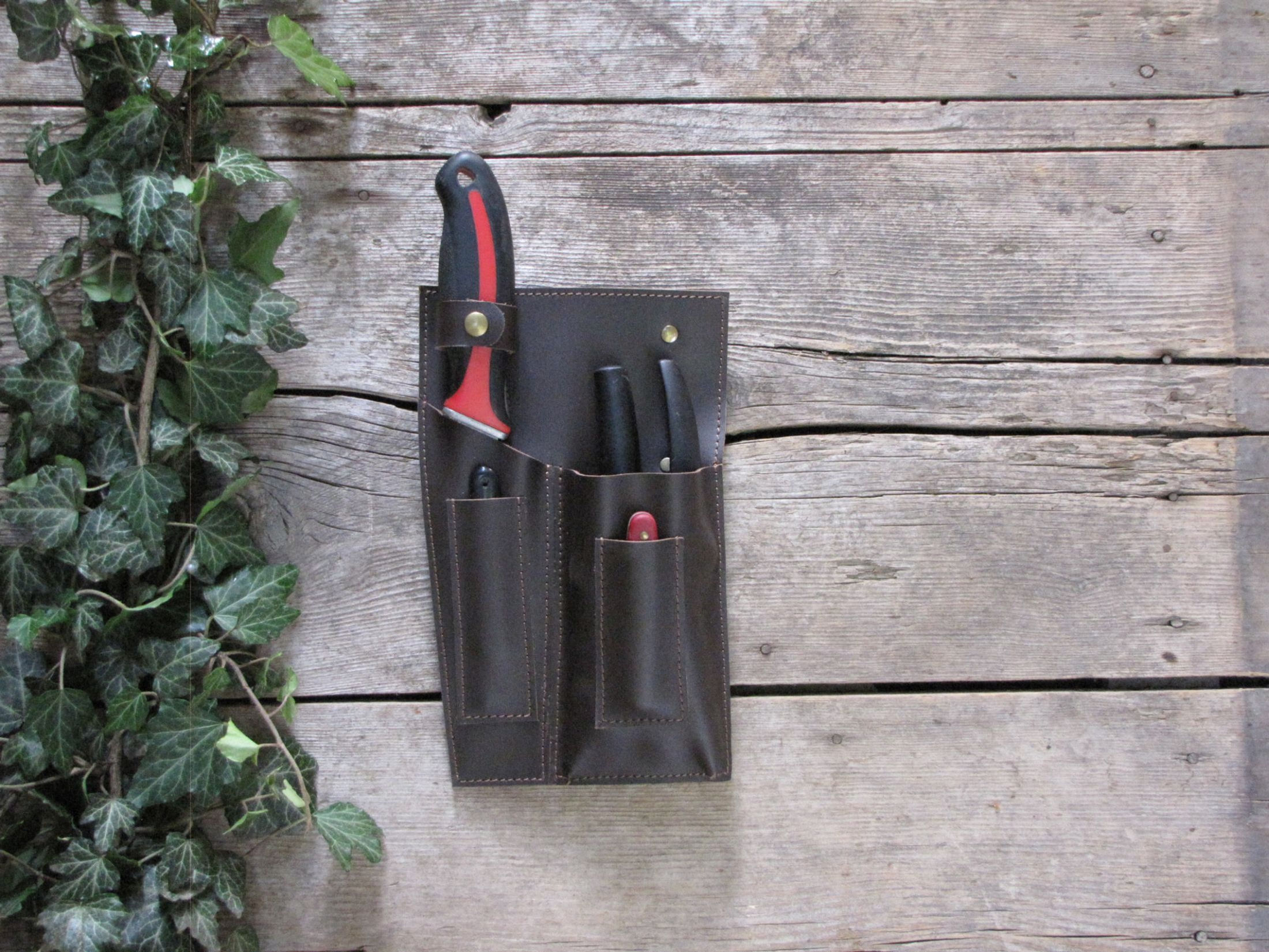 Clippers case
