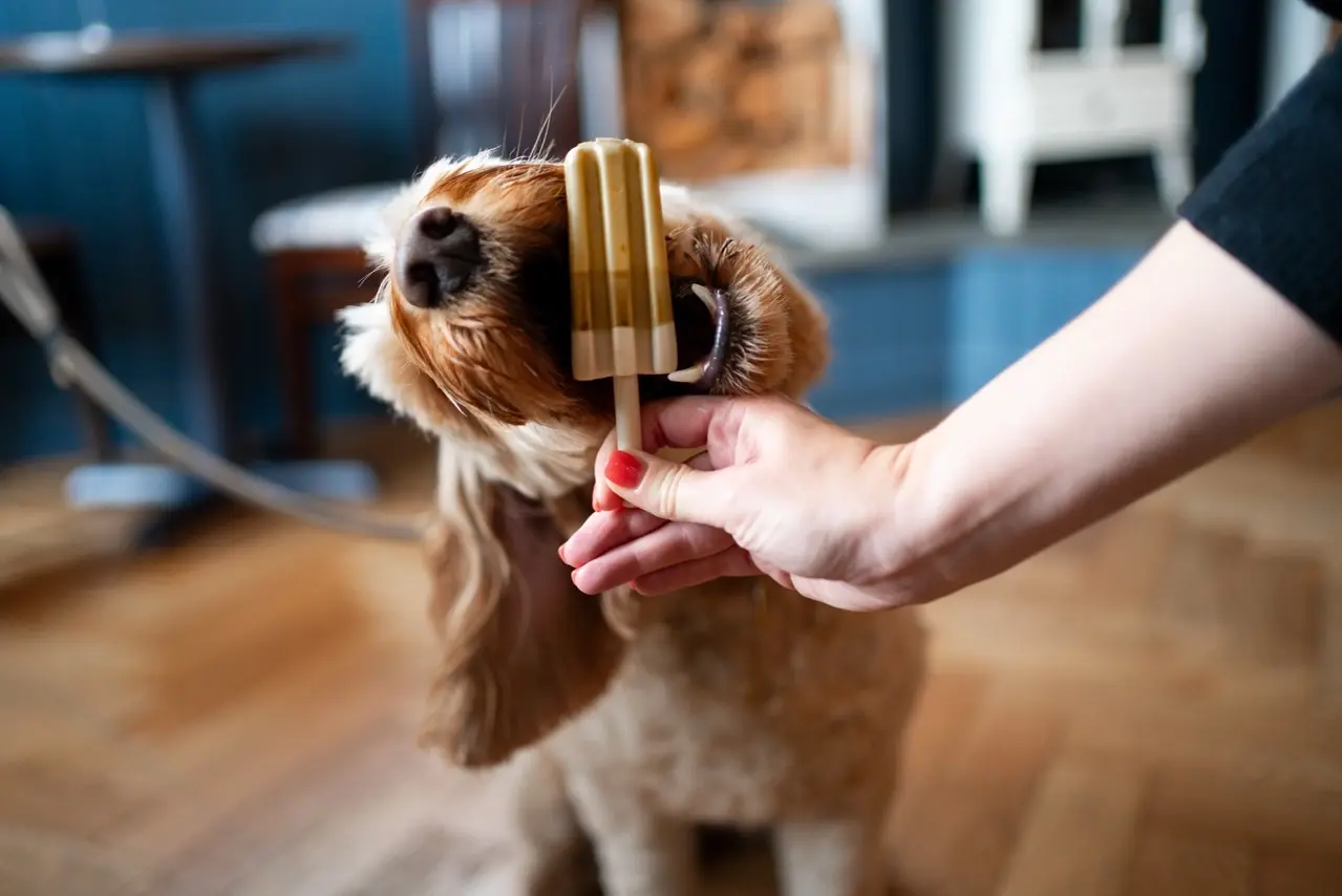 Peanut Butter & Banana Pup Ice Lollies