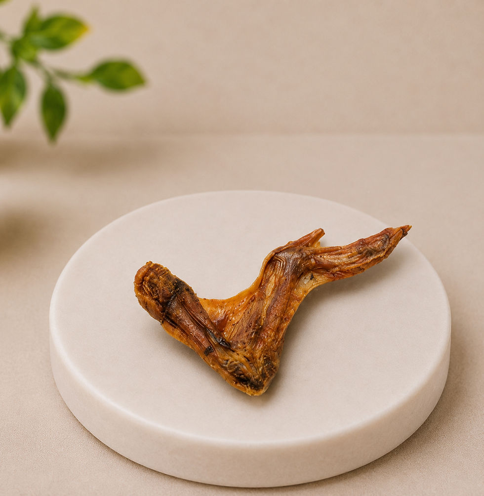Thumbnail: Giant Turkey Wing