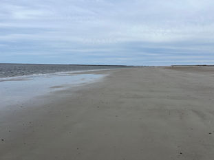 Florida Winter Camping with Beach Access