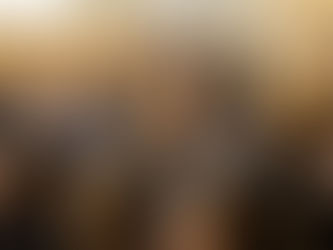 Pourquoi il faut sauver l’ENA Partie 1 : l'analyse.