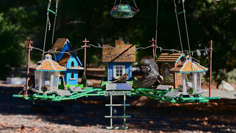 Sooo... What is going on.... is..