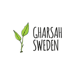 Logo_no background-01 (1).png