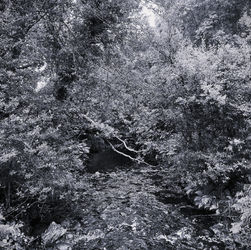 image4.JPG