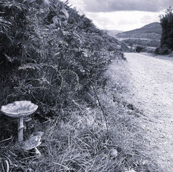 image7.JPG