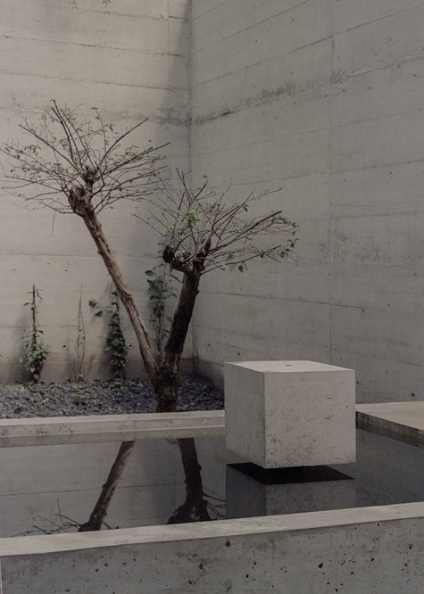 VDB_Portra 400_Ariadna Polo_04.jpg