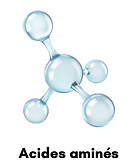 Acides aminés, power peptides
