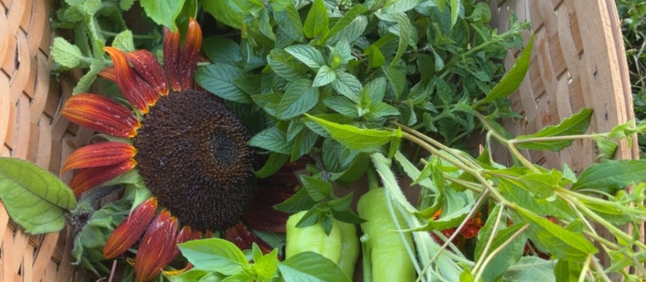 TGG Market Forecast 8/15: Rain, Tomatoes and Rolling With It