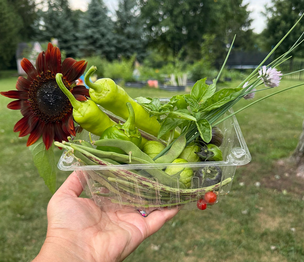 Last week's Taste of TGG Garden Basket