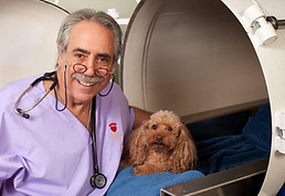 Andrew Turkell, DVM - Veterinary Medical Consultant to Hyperbaric Veterinary Medicine (hvm)