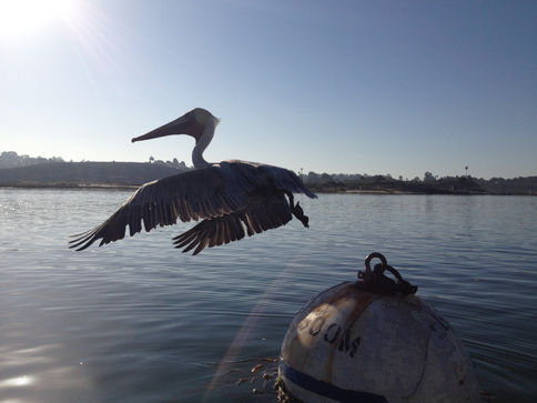 IMG_0251.jpeg