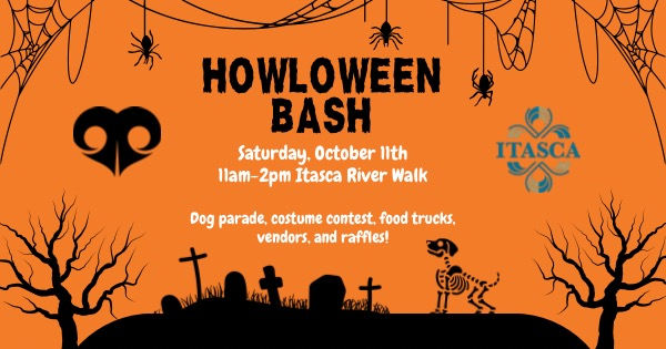 Halloween Bash