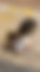 ücretsiz kedi sahiplendirme ilanları arasında üçüncü sıradaki ikon