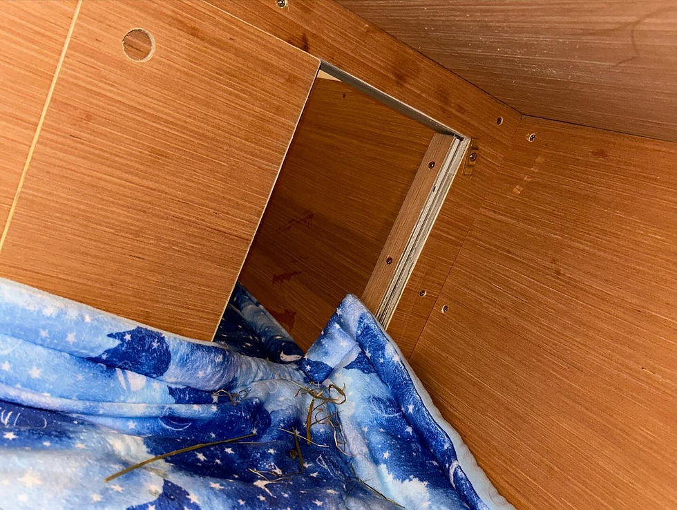 doors to separate cages