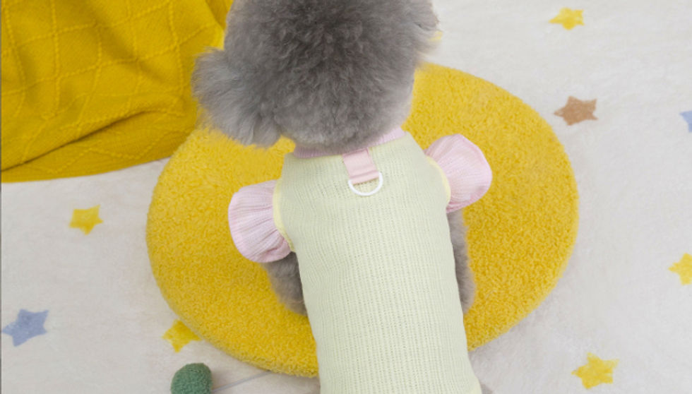 サムネイル： ペット服 春夏 フリル付き メッシュ 冷感クール 熱中症対策 小型犬 暑さ対策 通気性 蝶々結び