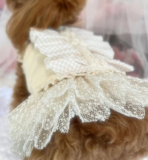 サムネイル： 春夏新作 小型犬服★超可愛いペット服★犬服★猫服★犬用★ペット用品★ネコ雑貨