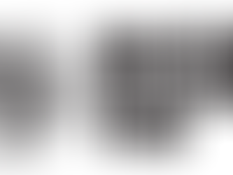 DIERKS BENTLEY ESTABLISHES BROKEN BRANCHES FUND