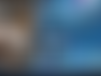 exception report tool