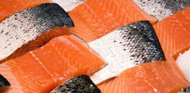 Farmed Salmon Fillets