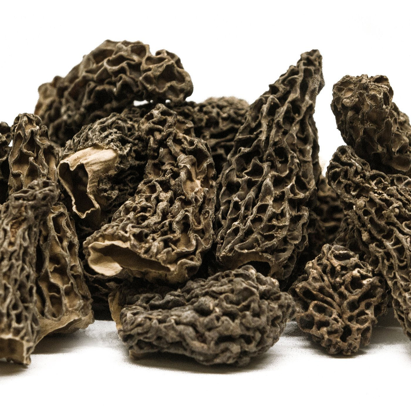 Morels Mushroom Extra Large (Jumbo Size)