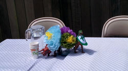 2015-07-19 Goodbye Pastor Emily 14.jpg