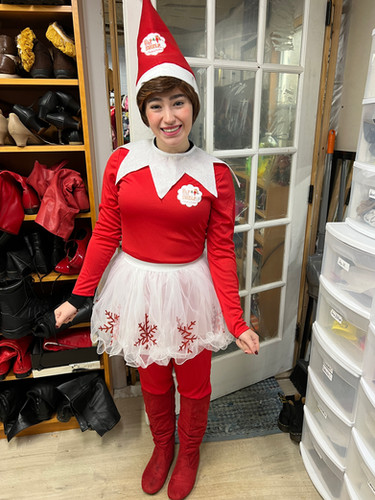 Costume Diy Elf Funny Elf Costumes Diy Elf On The Shelf Suit