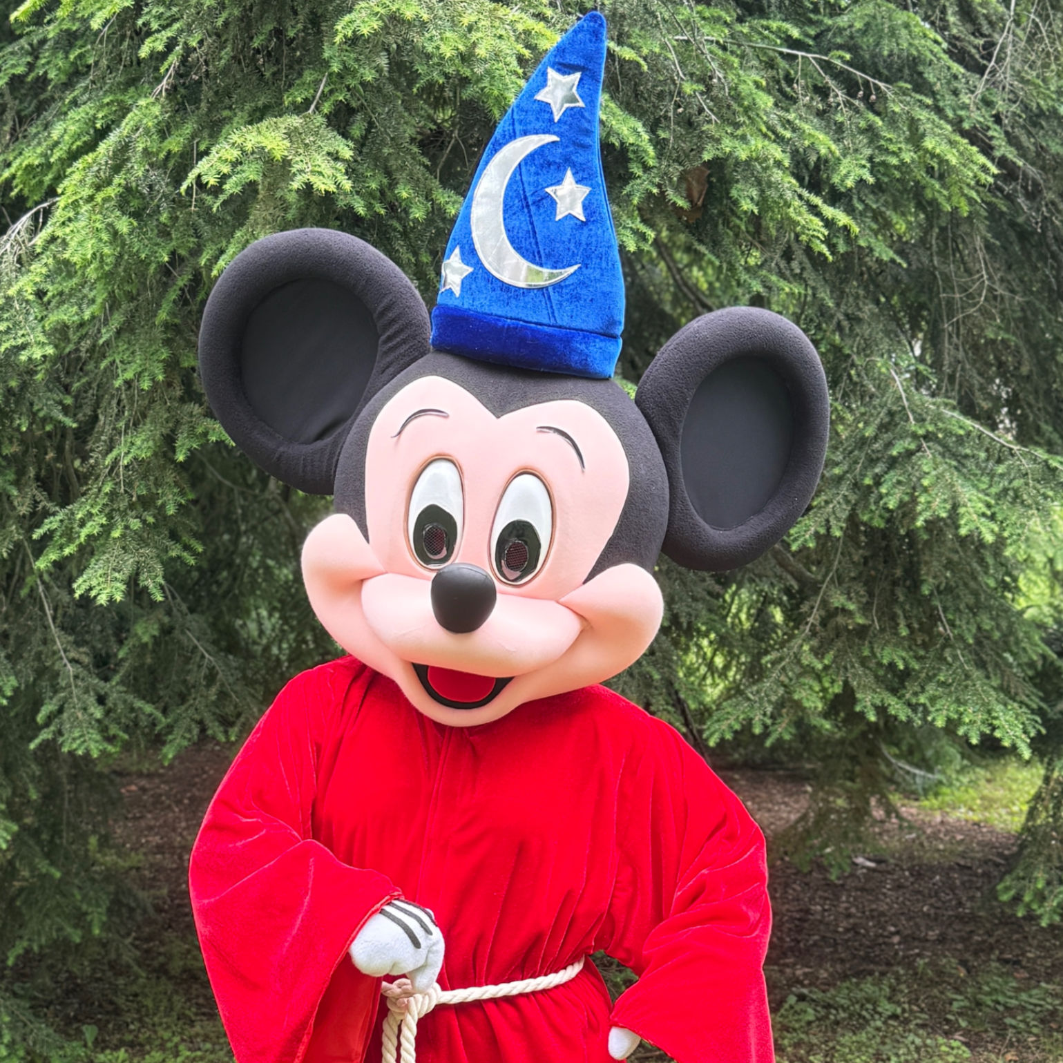 Mr. Mouse - Sorcerer