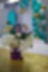IMG_3971.jpeg