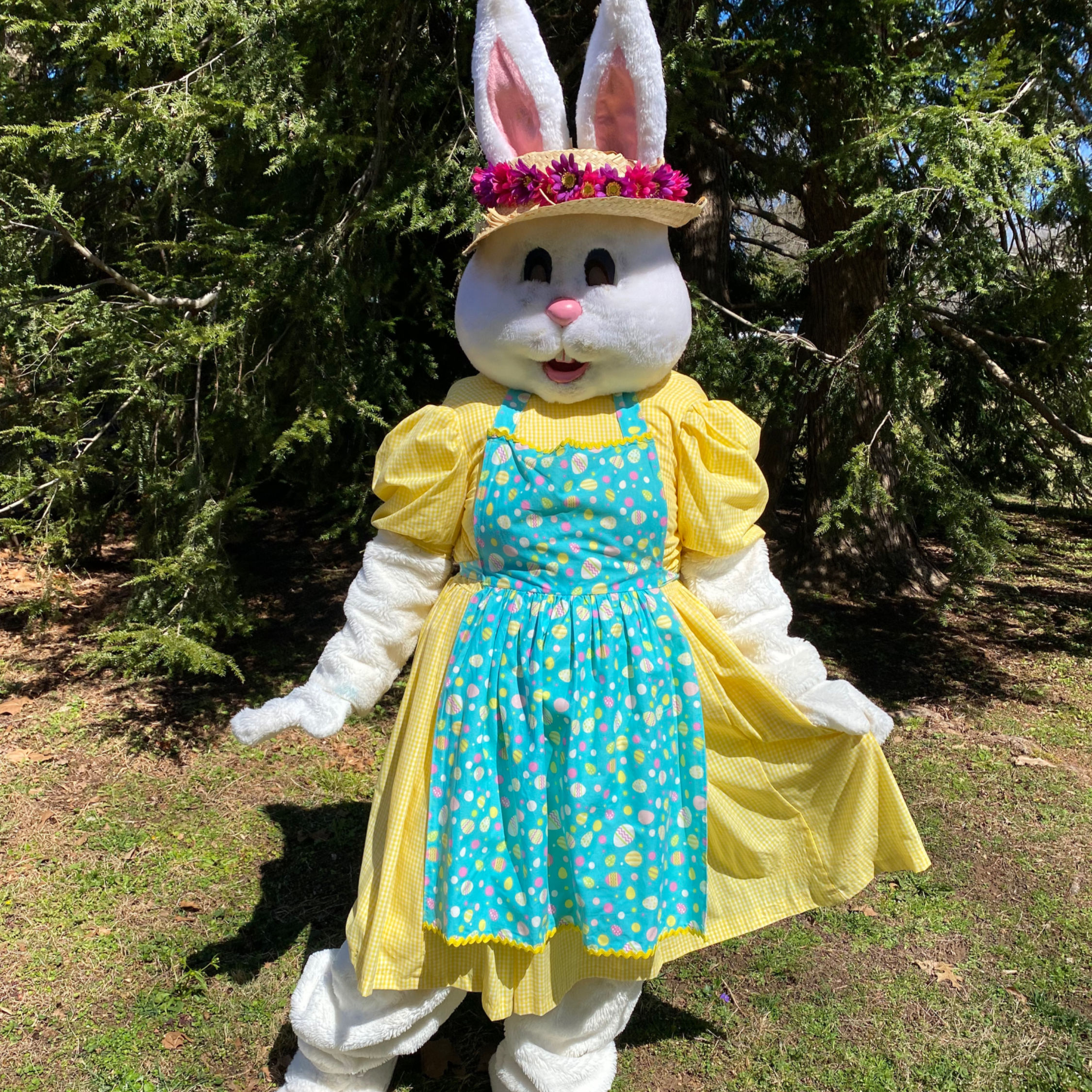 Easter Bunny - Yellow Dress