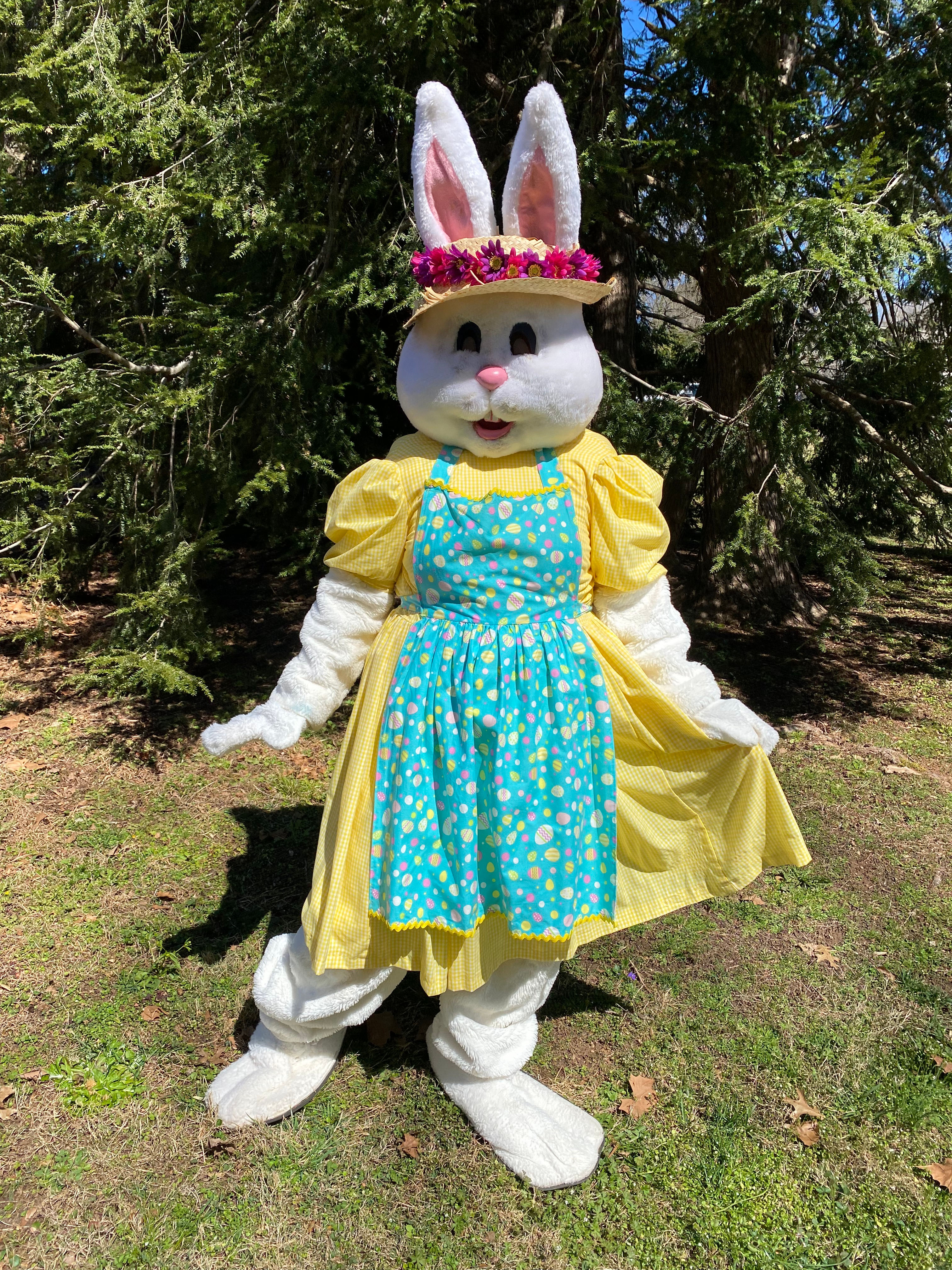 Easter Bunny - Yellow Dress