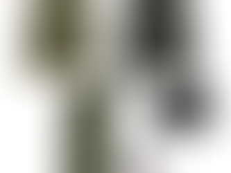 IT'S CHRISTMASSSSS!!!!!! 