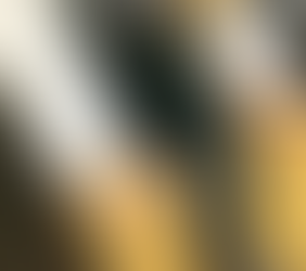 THE KING OF BASICS - THE BLAZER EDIT