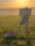 IMG_1370.jpeg