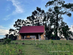 Fish Eagle Cottage at Highland Giants Estate (14)