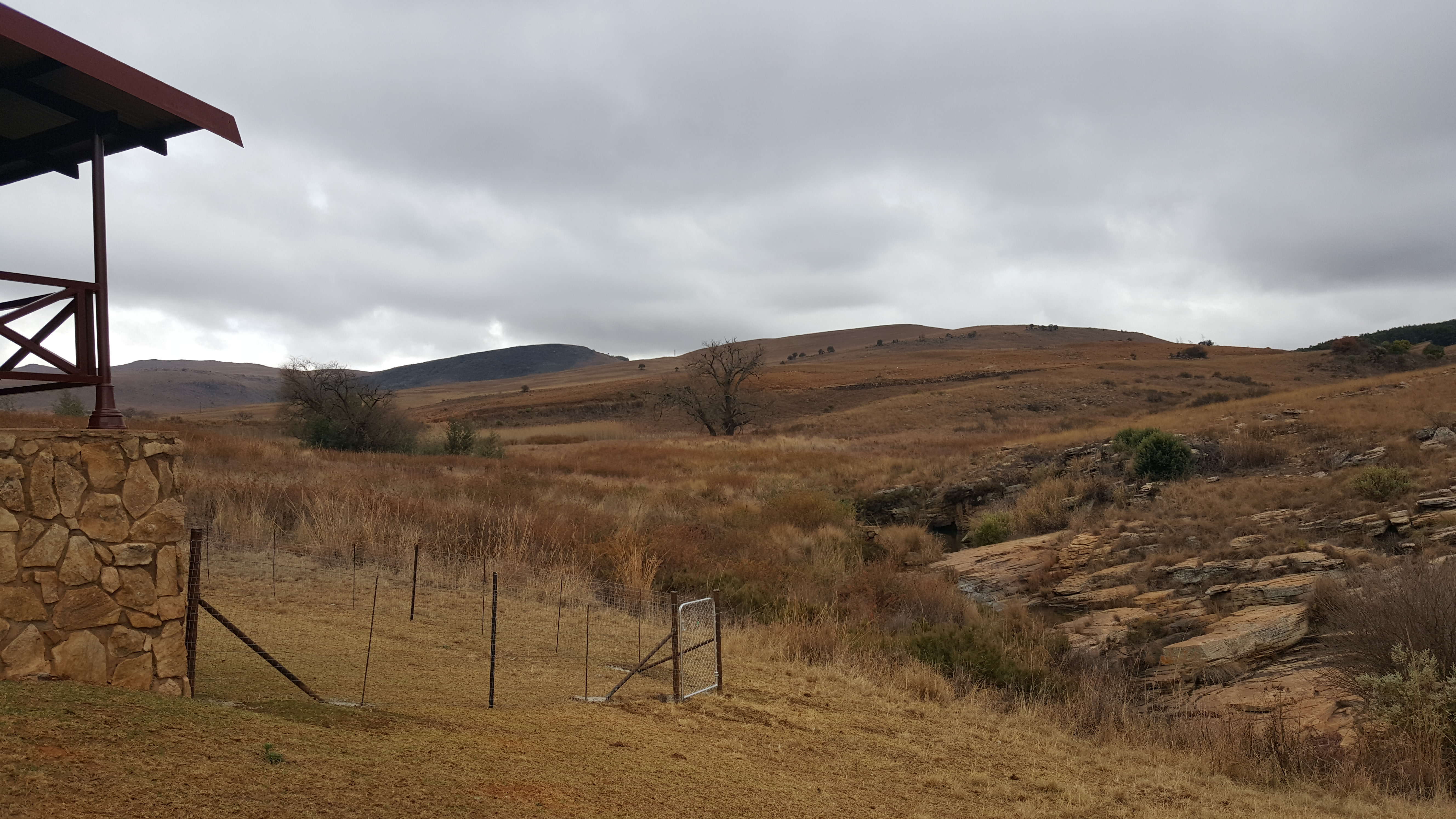 Guinea Fowl Cottage Highland Giants Estate Dullstroom